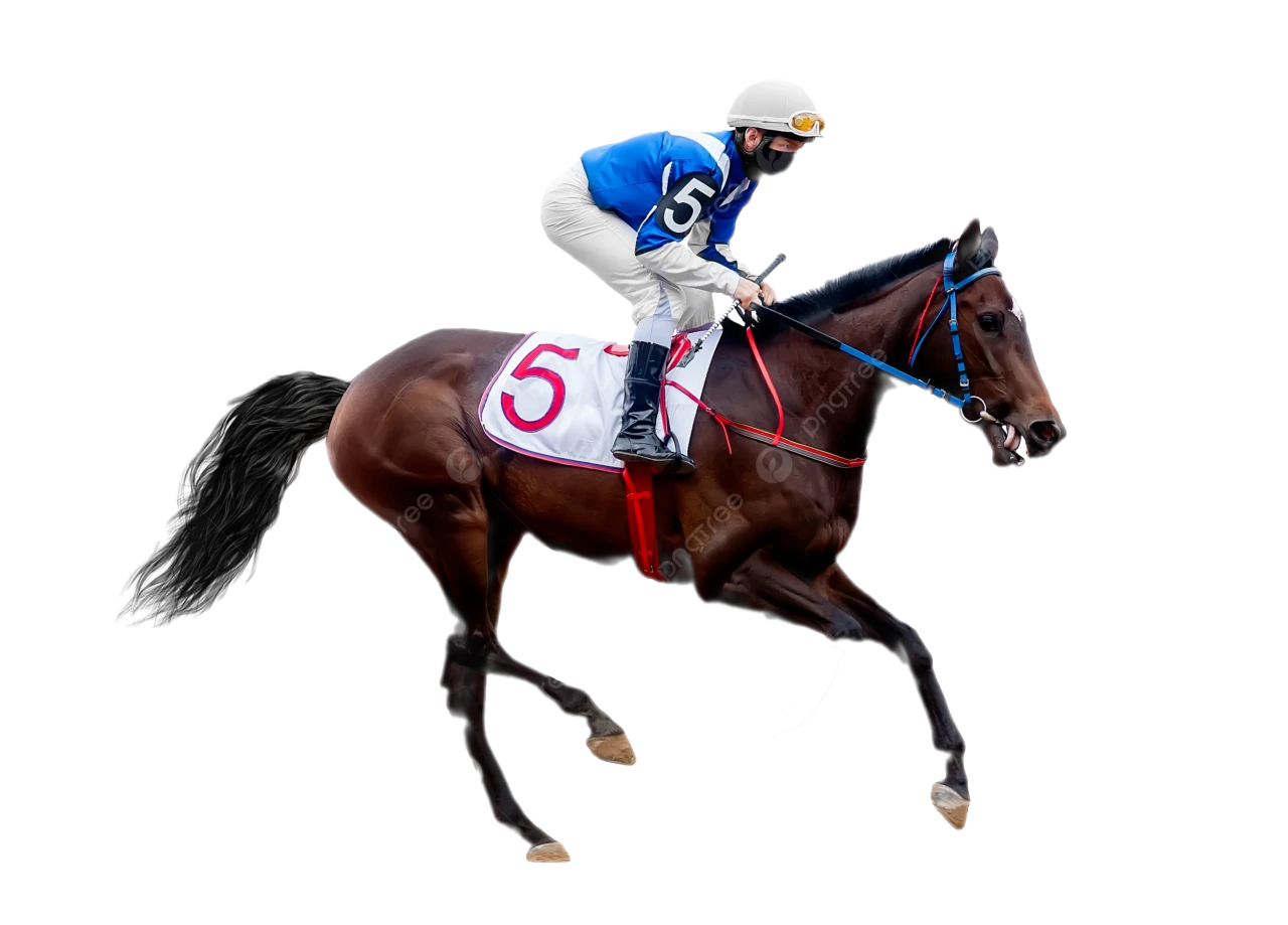 đua ngựa cá cược