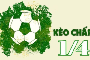 Hướng dẫn cách đọc kèo chấp cho người mới tham gia