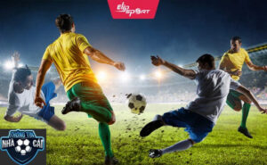 Trang Cá Cược Bóng Đá Là Gì? Hướng Dẫn Từ A đến Z