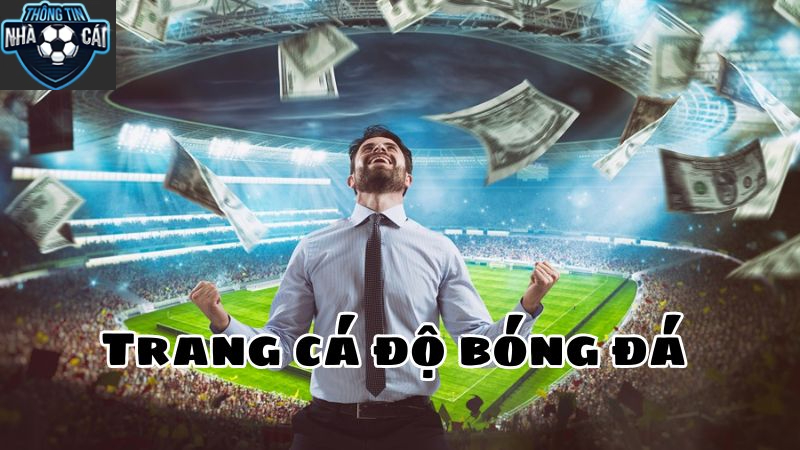 Trang Cá Cược Bóng Đá Là Gì?