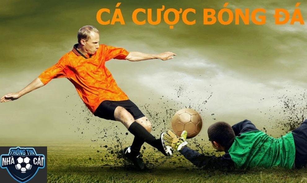 Vì sao cần chọn đúng Trang Cá Cược Bóng Đá Cho Người Mới?