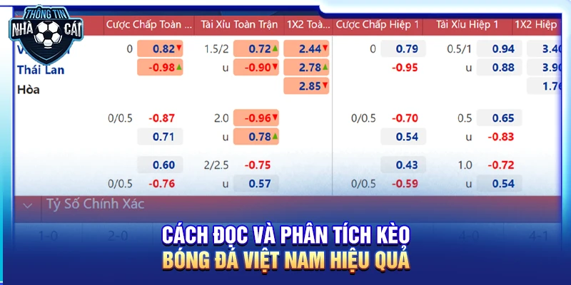 Trực tiếp kèo bóng đá Việt Nam hôm nay: Cập nhật tỷ lệ biến động 24h