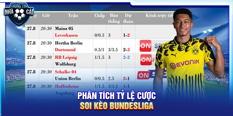 Soi kèo Bundesliga: Bayern Munich hay Leverkusen sẽ lên ngôi?