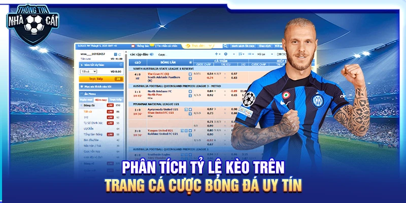 Phân tích tỷ lệ kèo trên trang cá cược bóng đá uy tín